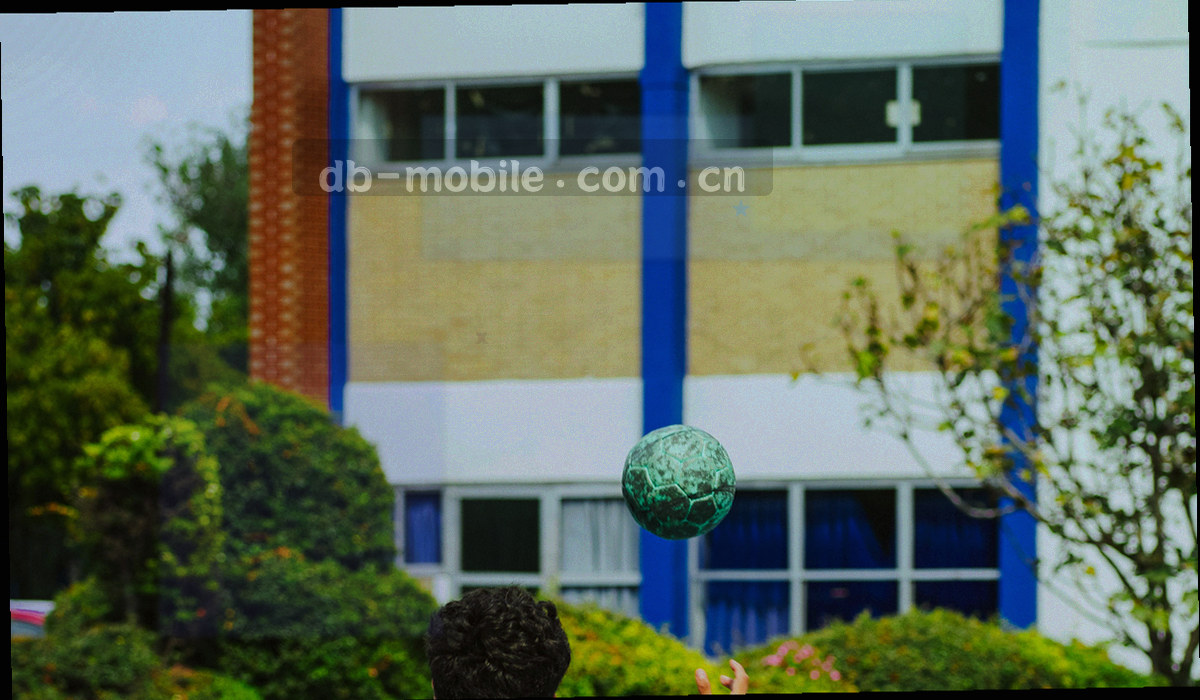 知识中心四类问题分区的结构示意图，线条与编号组合